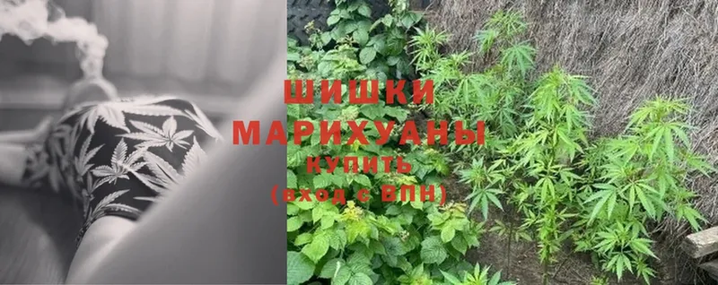 Бошки марихуана LSD WEED  Кировск 